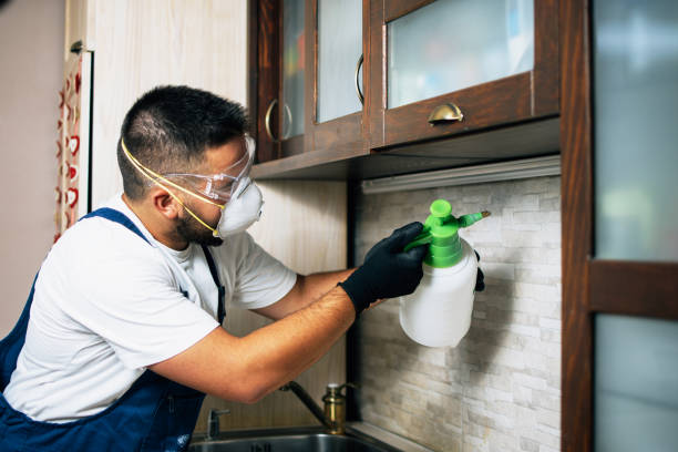 Best Wasp Removal Services  in Canadian Lakes, MI