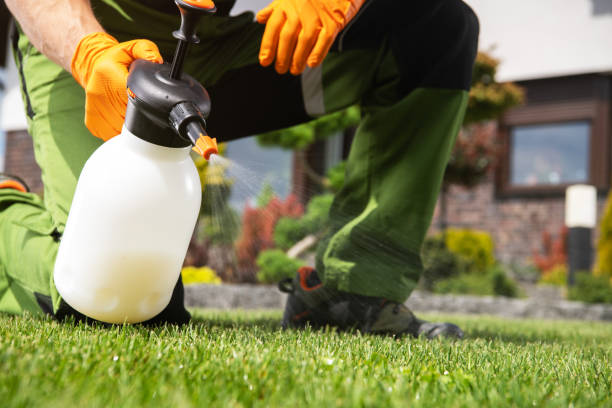 Best Pest Control Cost  in Canadian Lakes, MI