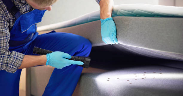 Best Flea Control Services  in Canadian Lakes, MI