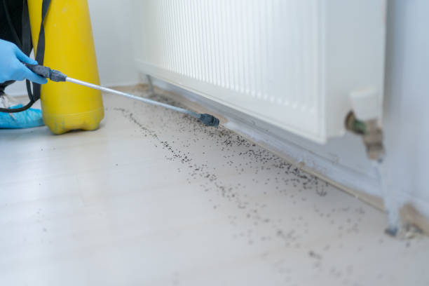 Best Residential Pest Control  in Canadian Lakes, MI