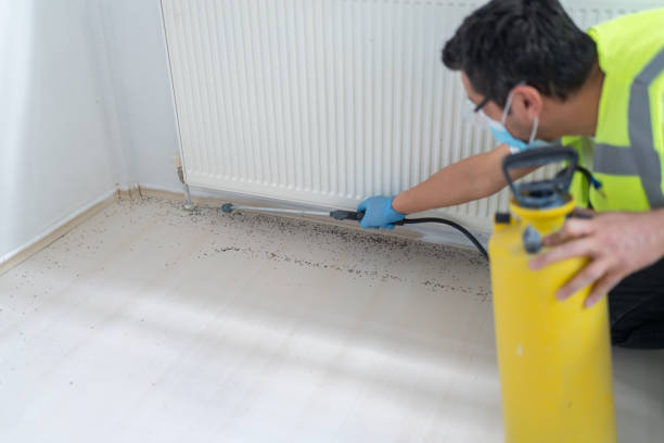 Wasp Removal Services in Canadian Lakes, MI
