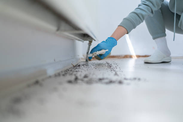 Best Wildlife Control Services  in Canadian Lakes, MI